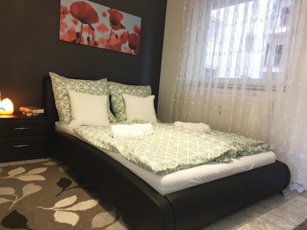 Grosse 130Qm Ferienwohnung Mit Whirlpool Sulzbach  المظهر الخارجي الصورة
